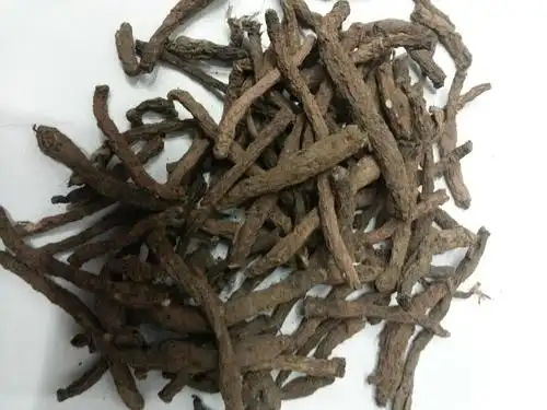 中药材仙茅供货信息详情-中药材药通网