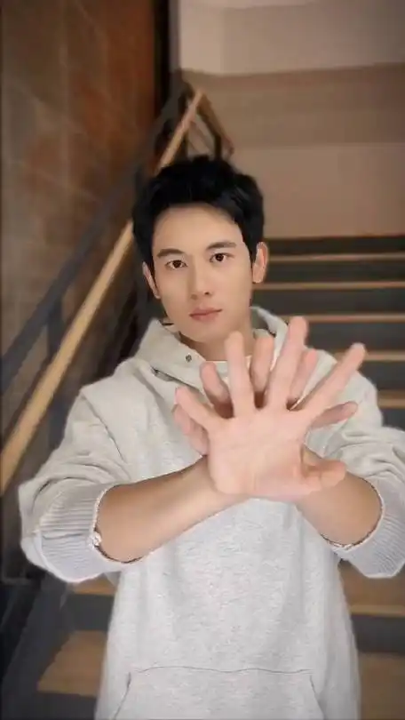 胡先煦手势舞变装