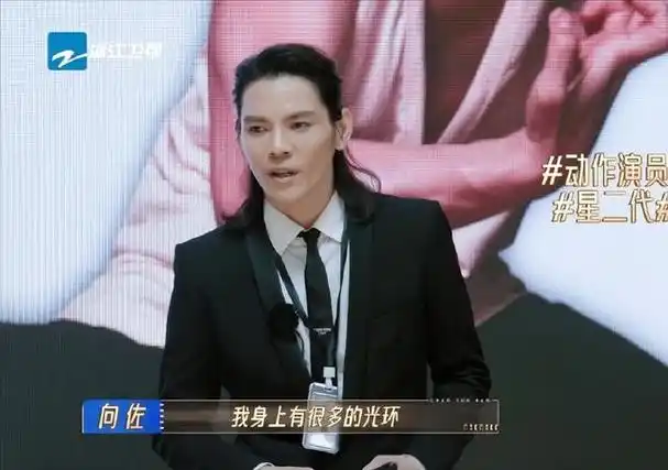 向佐在演技上虽然没有获得进步,但是在抽象上颇有心得,这或许也是另一