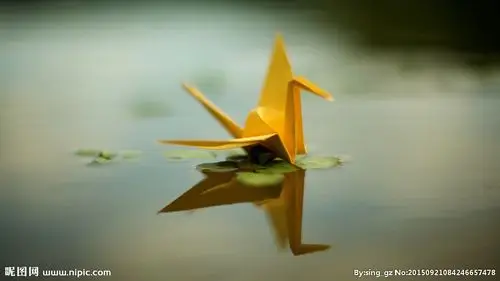 唯美千纸鹤图片