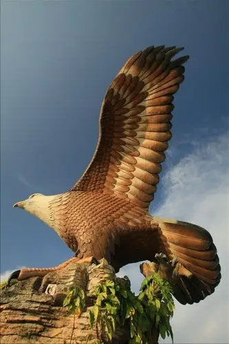 天翼第一次看到这么巨大的老鹰,不停的抬头仰视.