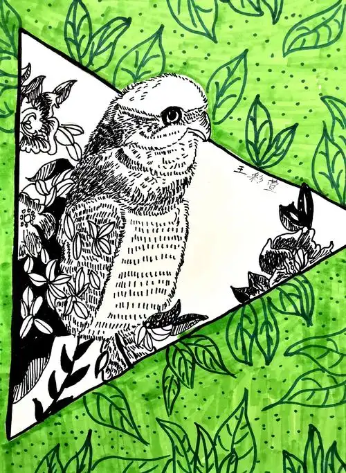 名仕色彩班3轮作品《线描鸟》