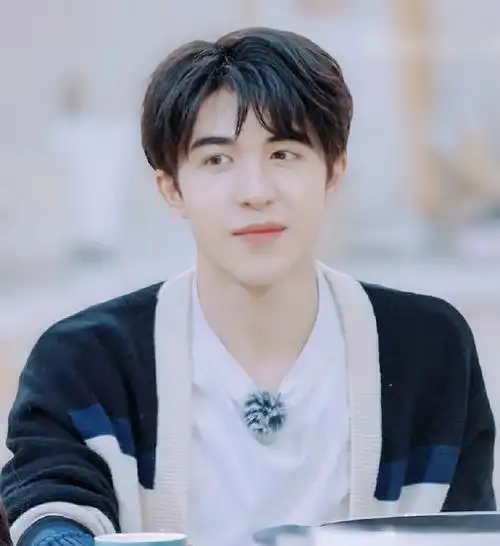 刷桃花坞第一期ing尹浩宇美貌持续发光中