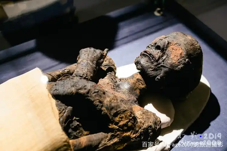 揭开亚麻布看女木乃伊真身,浙江省博物馆孤山馆区正在展出