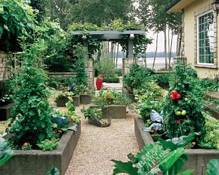 现代简约风格设计花园式菜园