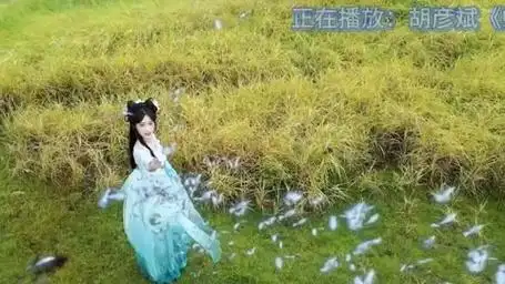 胡彦斌《蝴蝶》 "化作蝴蝶飞舞,天空灿烂夺目