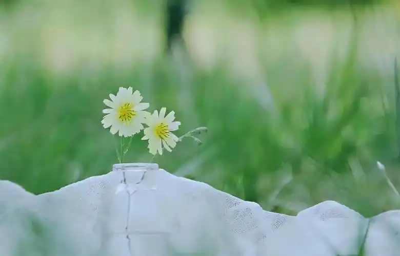 温暖治愈的句子干净文艺句(治愈系句子文艺)