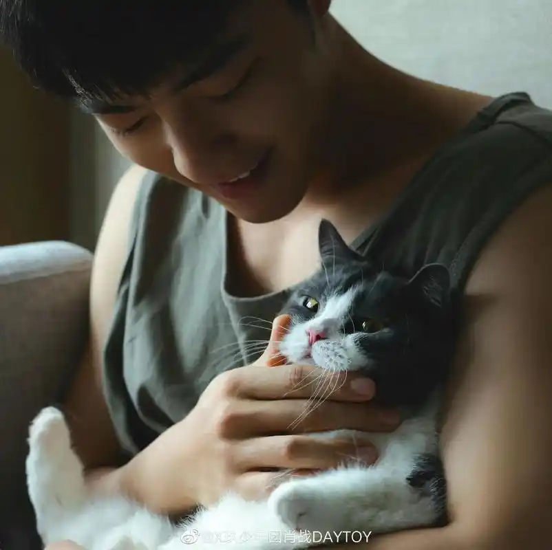 最幸福的猫界小公主坚果在霸霸肖战怀里太令人羡慕了没想到我这辈子会