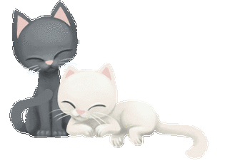 【转载】【gif-动图】—音画制作必备(动物素材-03)