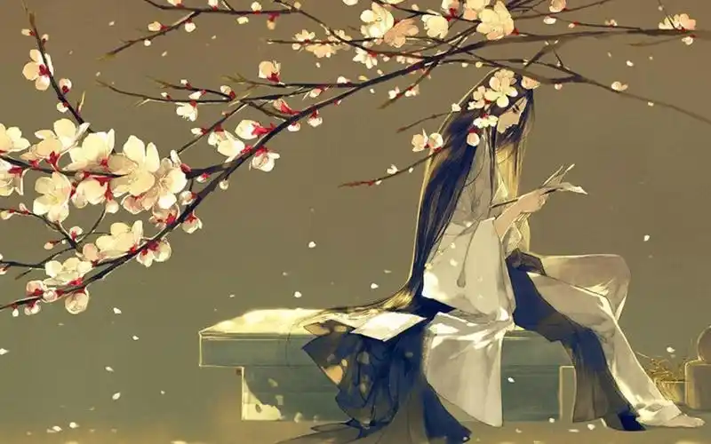 唯美古风句子一念花开一念花落这山长水远的人世终究是要自己走下去