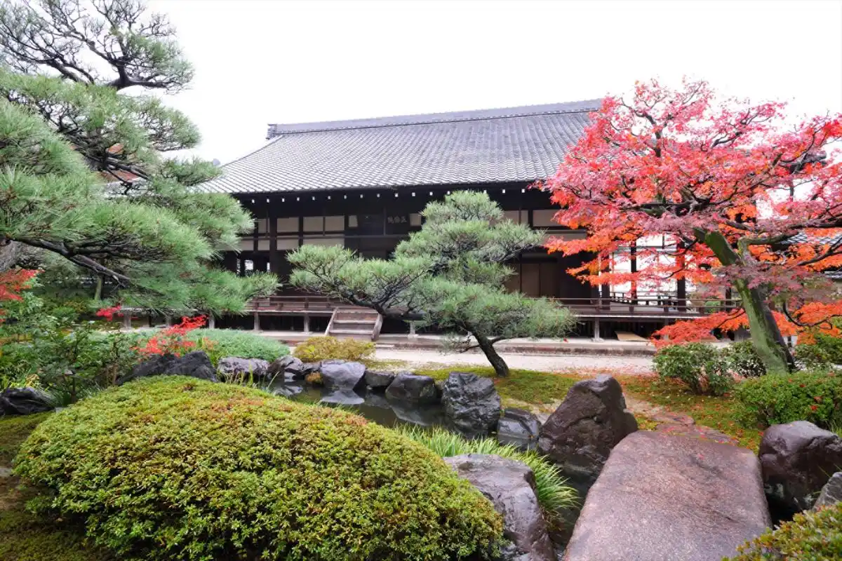 秋天去日本赏红叶,住进斑斓画卷里的酒店_庭院