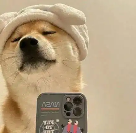 头像超酷的微信头像