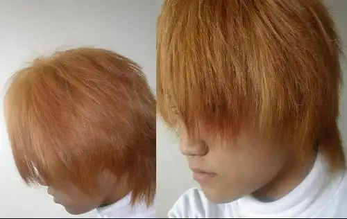 >> 文章内容 >> 头发软化问题 我刚刚拉直头发不久,拉的不好,感觉头发