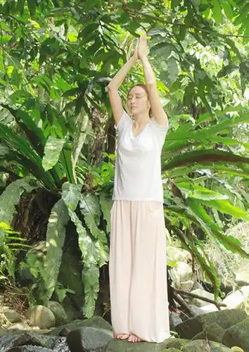 阔太胡静林间优雅做瑜伽