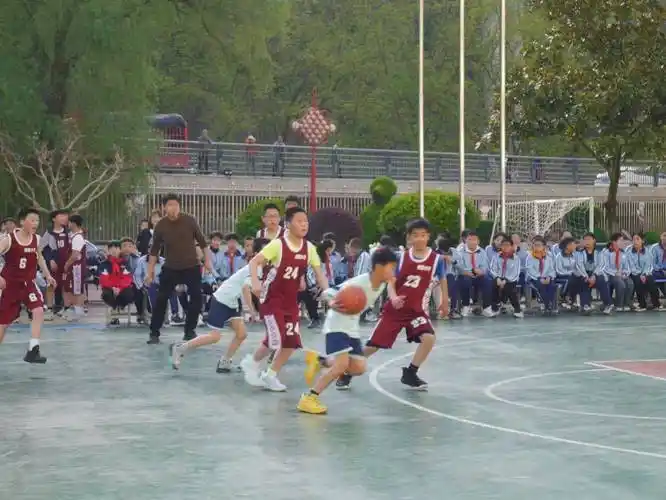 2024年白河县小学生篮球赛(北部赛区预赛)圆满落幕_仓上_比赛_啦啦队