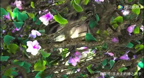 《司藤》景甜剧照,美爆了