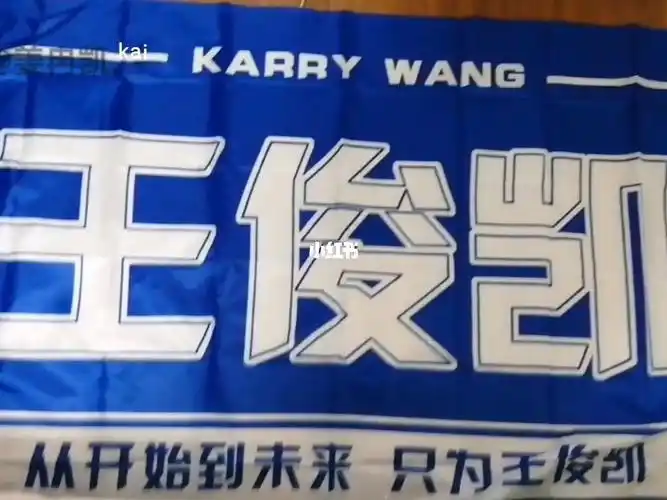 姜冉凯love王俊凯  #tfboys王俊凯  #王俊凯应援大旗