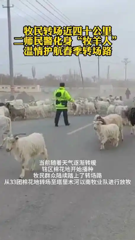 垦区公安局库孜来克派出所民辅警巡逻途中遇到牧民驱赶着上百头绵羊