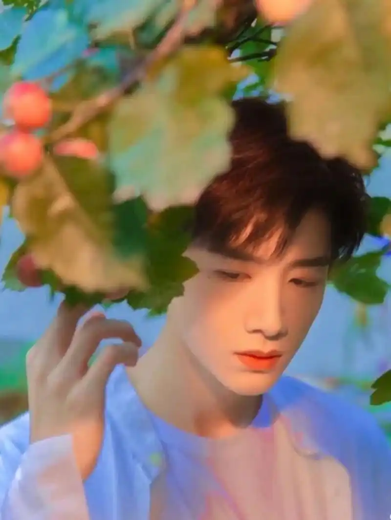 白敬亭的那些神图 怀柔小王子绝了