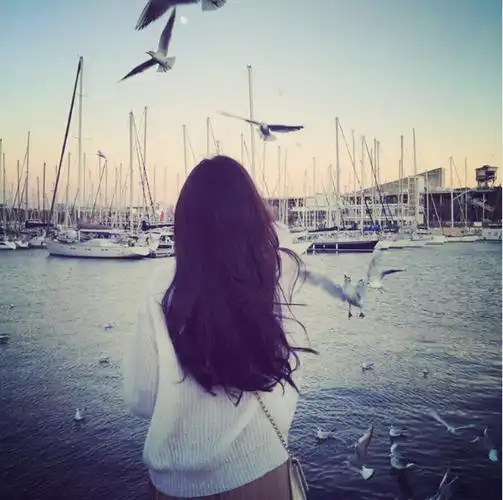 选择这张背景说明:你是一个在生活中很容易放弃的人,只要遇到一点波折