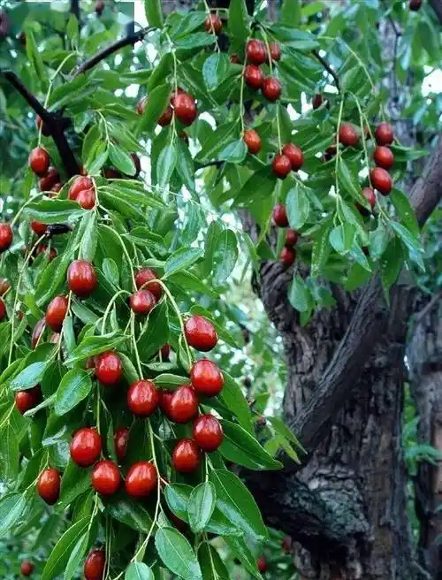 有过多少童年的往事,记着我曾走过的路……"青年歌手任妙音那轻松欢快