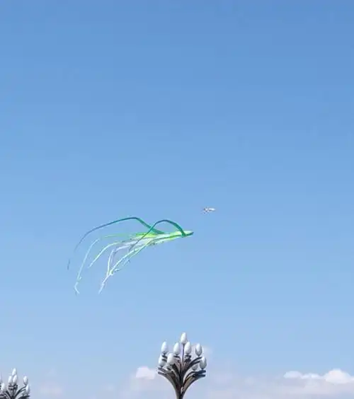 又是一年春来到,各色风筝满天飞