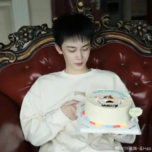 tf家族四代成员为王浩庆生