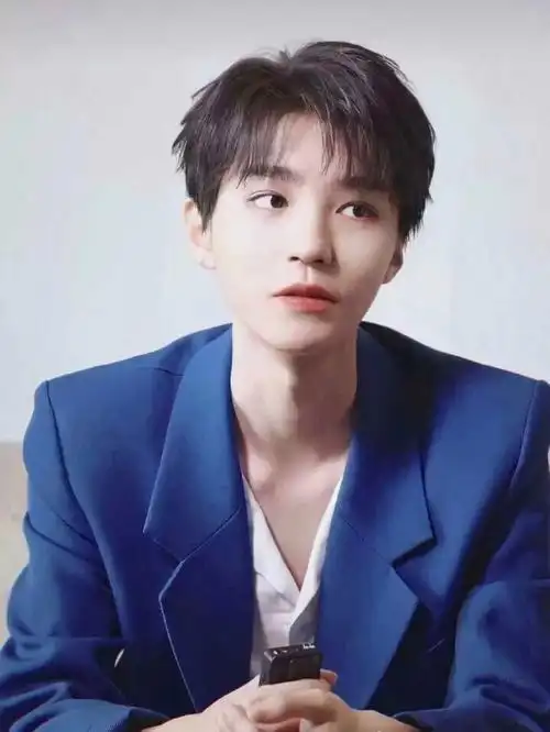 王俊凯美图系列