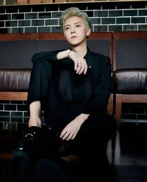 鹿晗gucci品牌发布会造型,银发配黑色西装红色领结,超帅超贵气_感觉