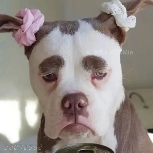 share|搞怪沙雕头像 - 不听老人言,开心好几年.