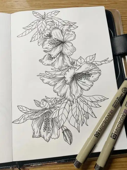 针管笔手绘花卉临摹杜鹃附过程