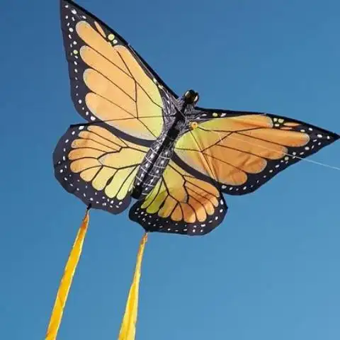 情感测试4个风筝哪个最漂亮测你暗恋的ta是否喜欢你