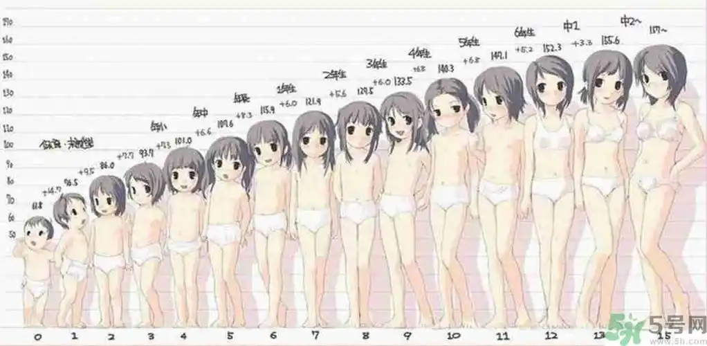 青春期女生发育的过程