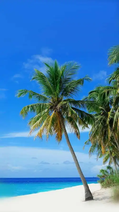 最美的风景一定是在海边