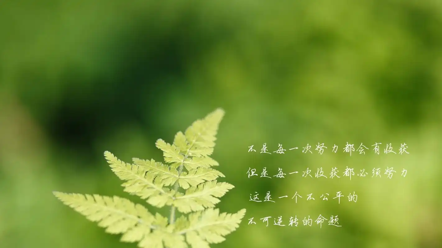 安装元气桌面,海量壁纸一键设置尺寸:1920x1080体积:0.