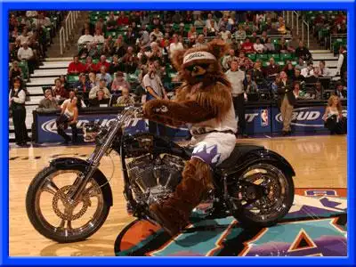 nba吉祥物大搜罗:爵士队吉祥物——爵士熊熊