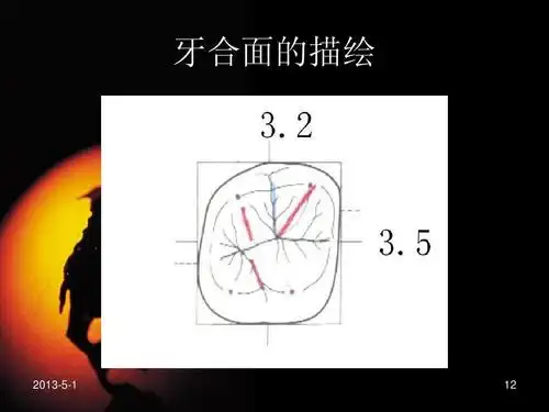 上颌第一磨牙的描绘ppt