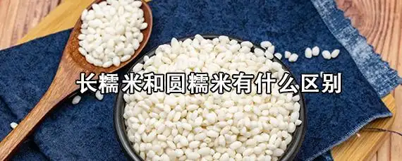 长糯米和圆糯米有什么区别