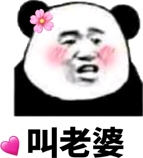 熊猫头叫老婆斗图搞笑爱心猥琐头戴大花gif动图_动态图_表情包下载