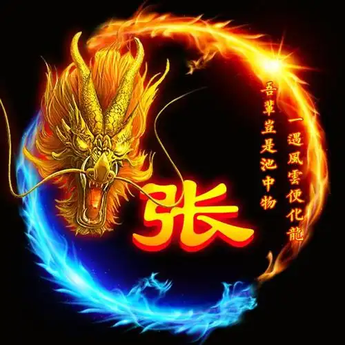 36张姓氏微信头像:飞龙在天和凤凰涅盘,你选哪个?