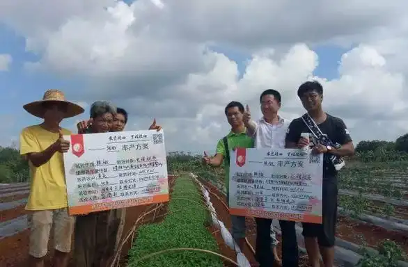 山东禾宜生物科技有限公司