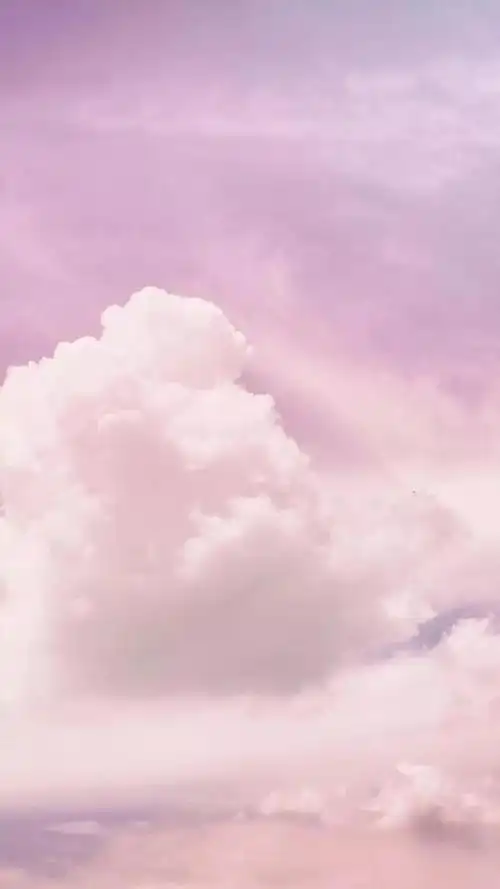 少女心粉色系壁纸2020年最流行的壁纸图片