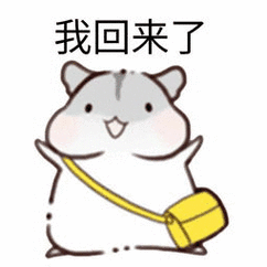 华软我们的青春