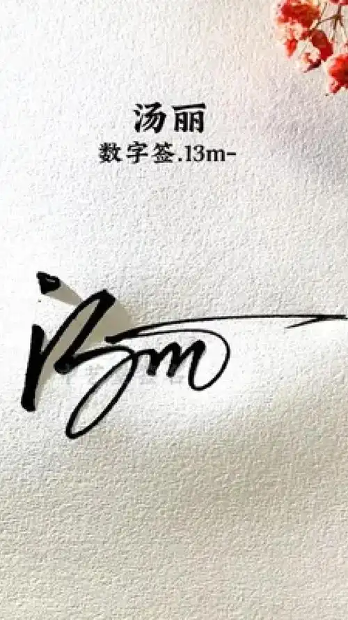 一笔带过简洁大气的连笔签名 汤丽,数字签.