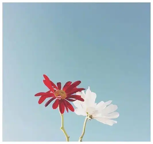 一个人心境淡然的唯美语句经典至极深度好文