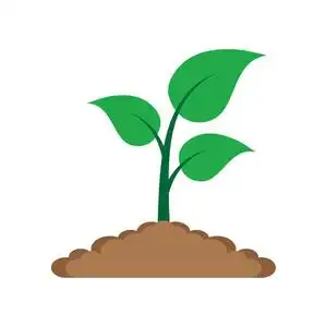 棕色芽插画-棕色芽手绘-棕色芽卡通图-摄图新视界