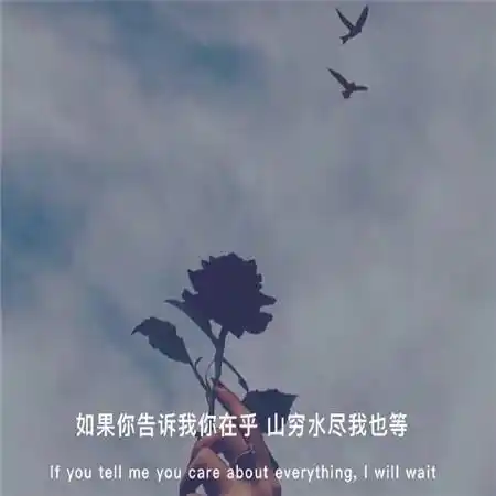 带字的伤感图片2021很丧的网易云伤感带字图片