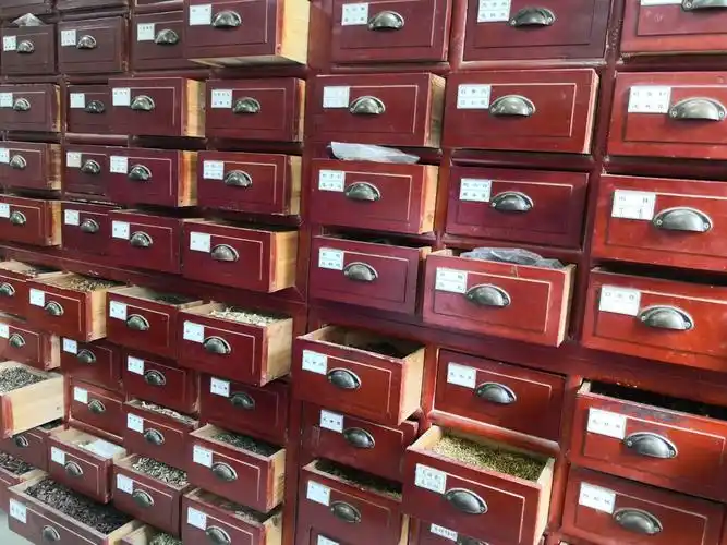 哇,中药房的中药真多!