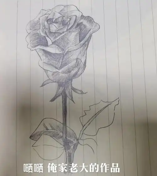 素描 - 梅 - 抖音