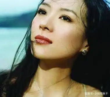 编辑回想起那张在网络上广为流传的照片,那时的章子怡年仅17岁,清纯得